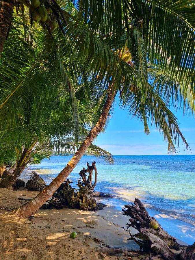 Drago Beach House - Private Beach Boca del Drago Buitenkant foto