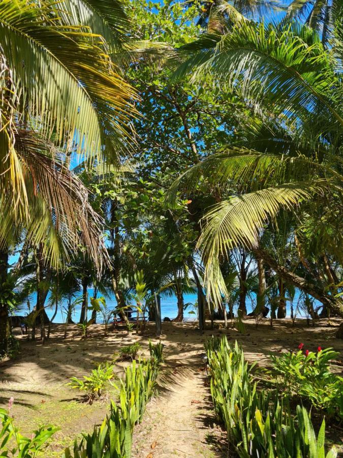Drago Beach House - Private Beach Boca del Drago Buitenkant foto