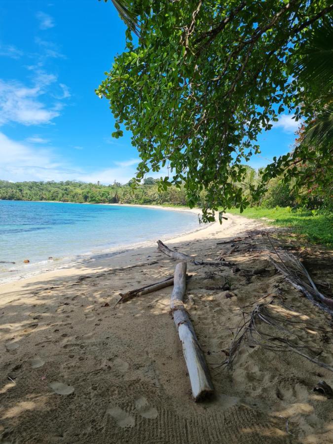 Drago Beach House - Private Beach Boca del Drago Buitenkant foto