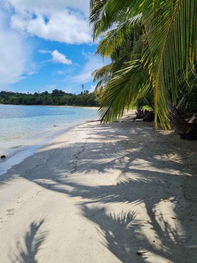 Drago Beach House - Private Beach Boca del Drago Buitenkant foto