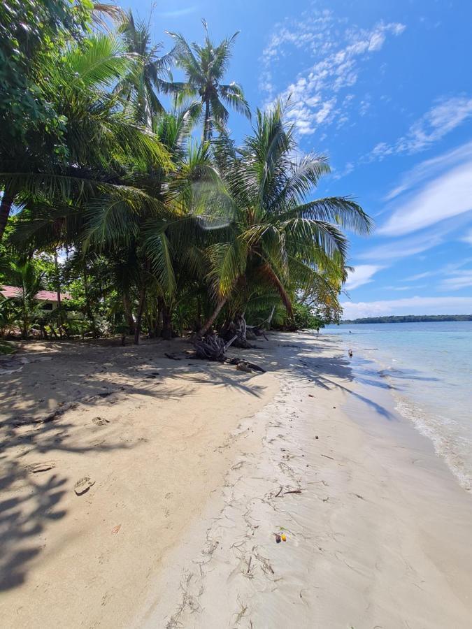 Drago Beach House - Private Beach Boca del Drago Buitenkant foto