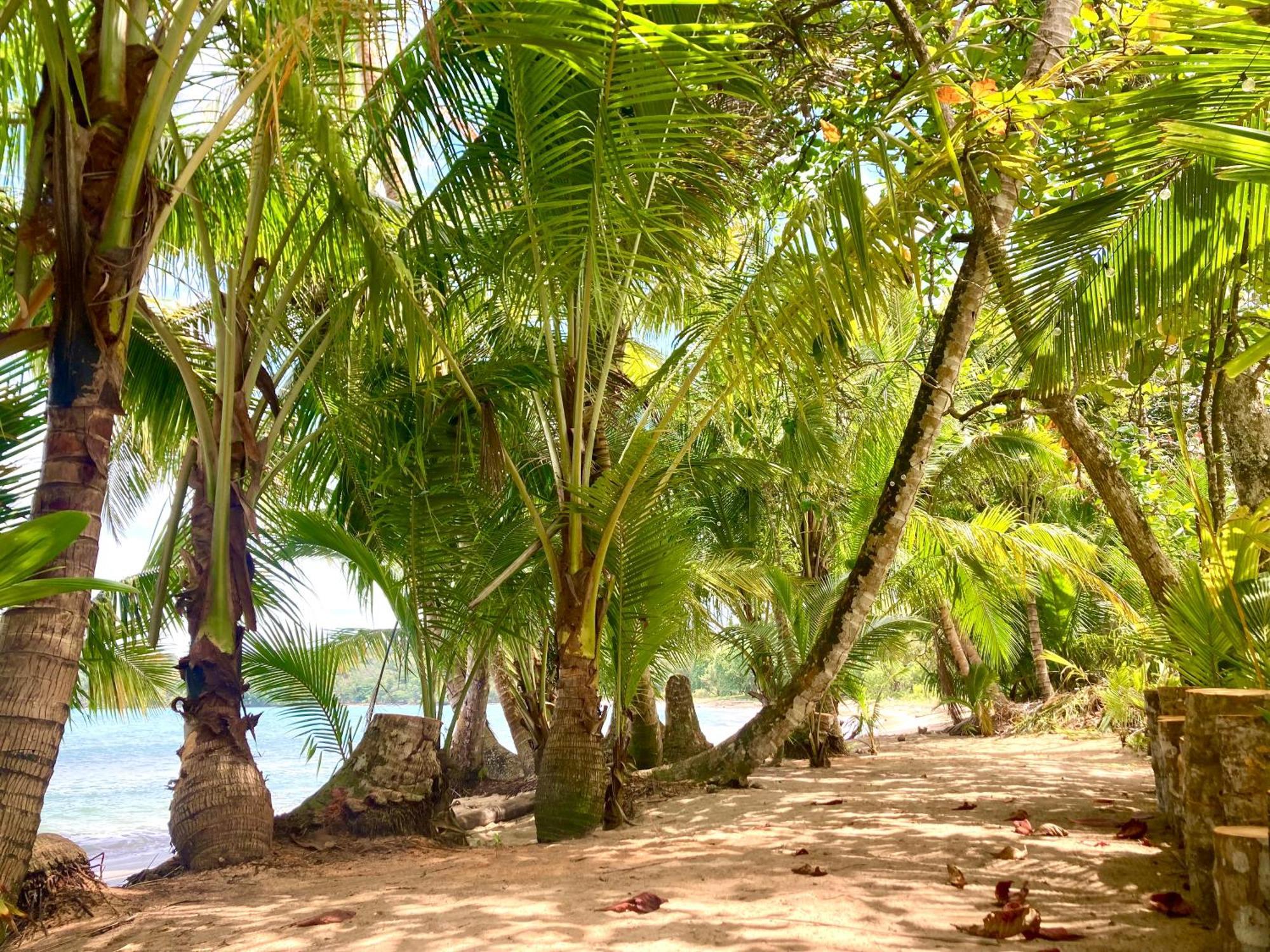 Drago Beach House - Private Beach Boca del Drago Buitenkant foto