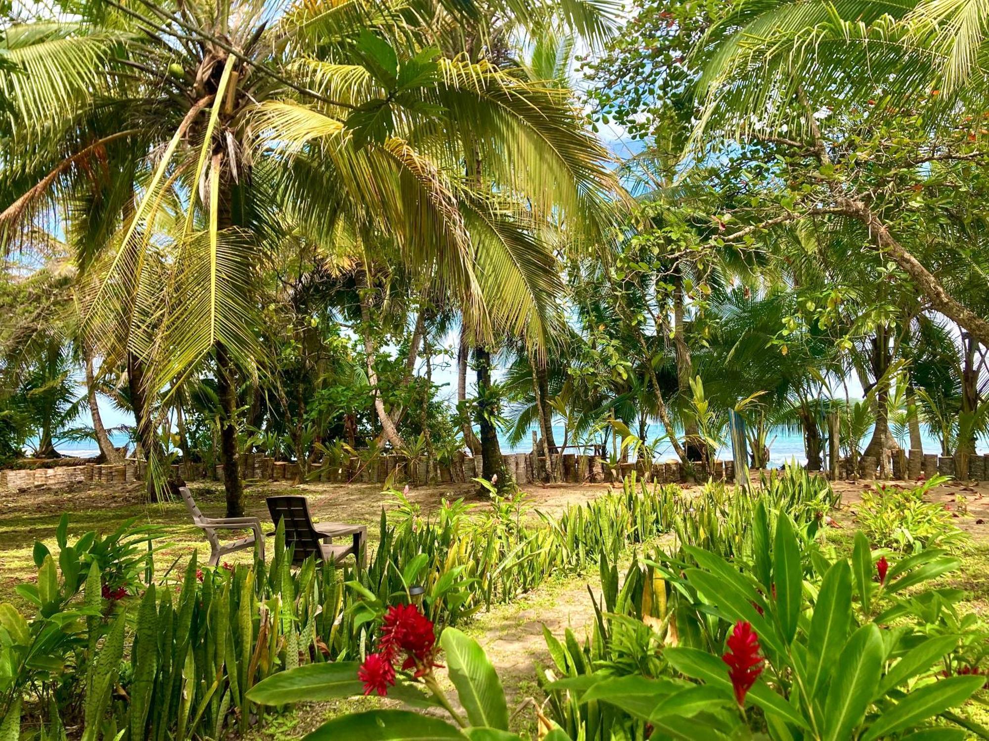 Drago Beach House - Private Beach Boca del Drago Buitenkant foto