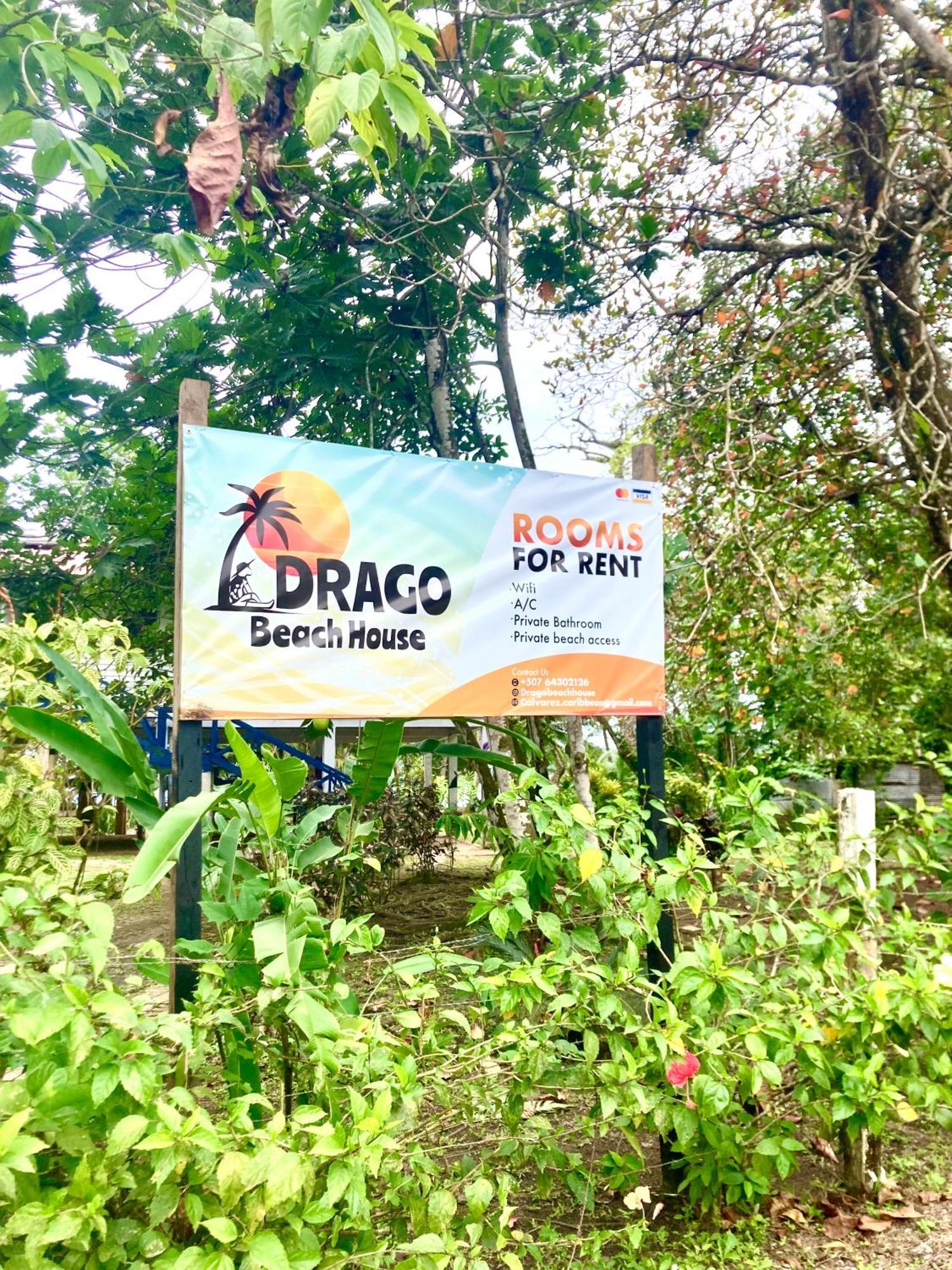 Drago Beach House - Private Beach Boca del Drago Buitenkant foto