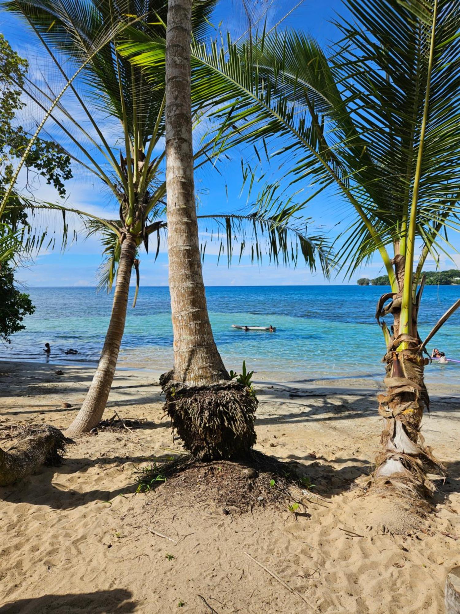 Drago Beach House - Private Beach Boca del Drago Buitenkant foto