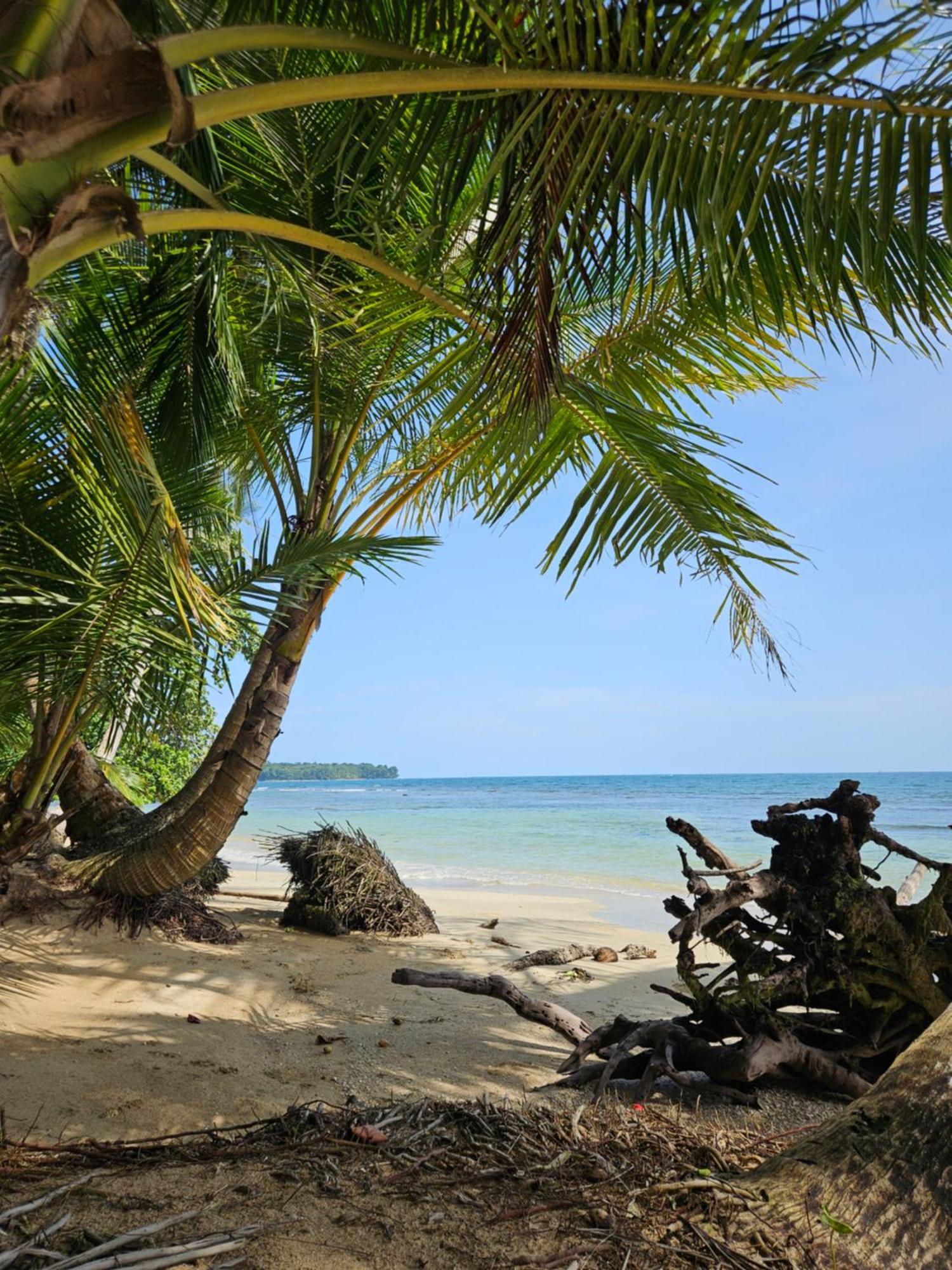 Drago Beach House - Private Beach Boca del Drago Buitenkant foto