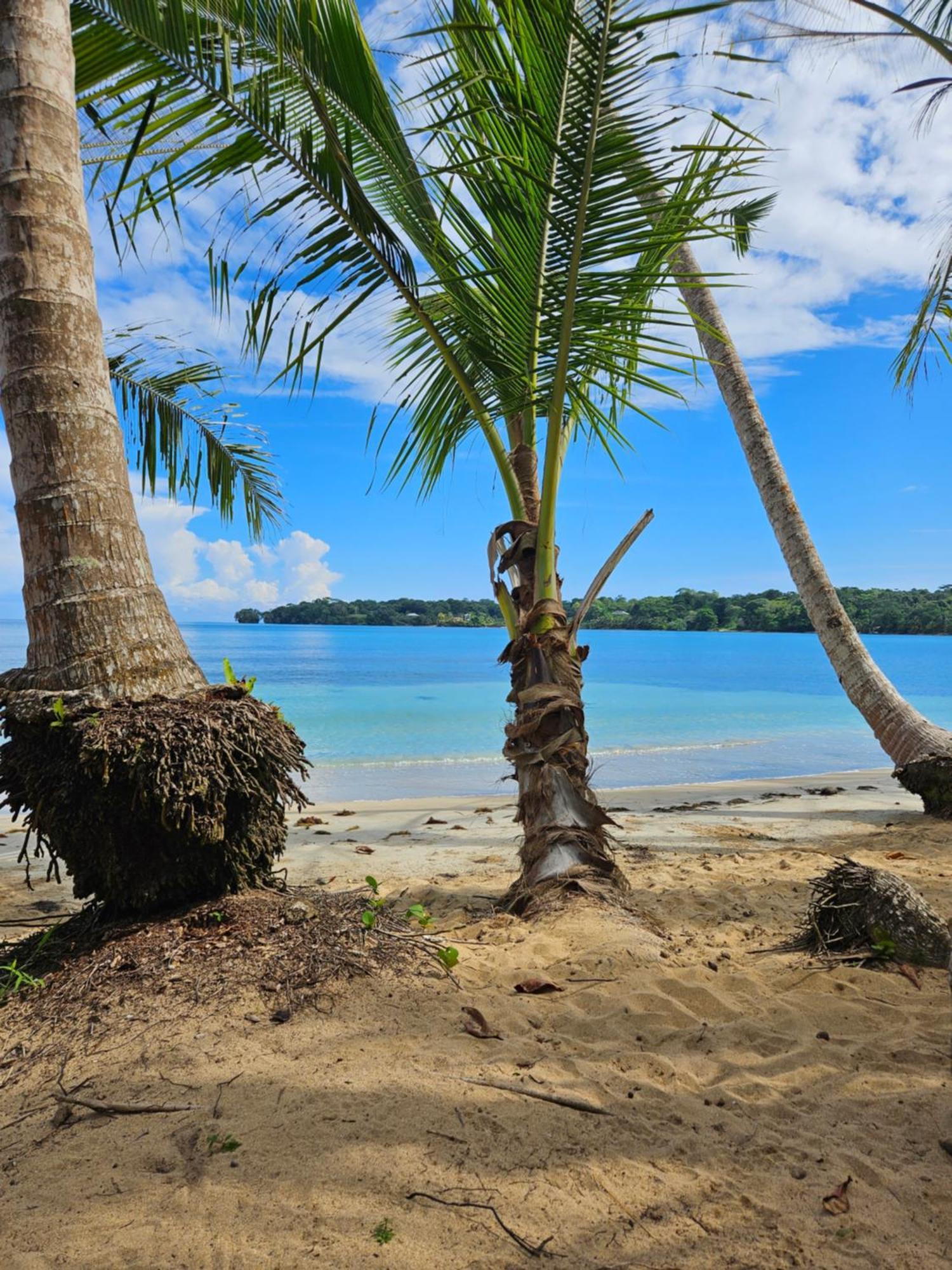 Drago Beach House - Private Beach Boca del Drago Buitenkant foto