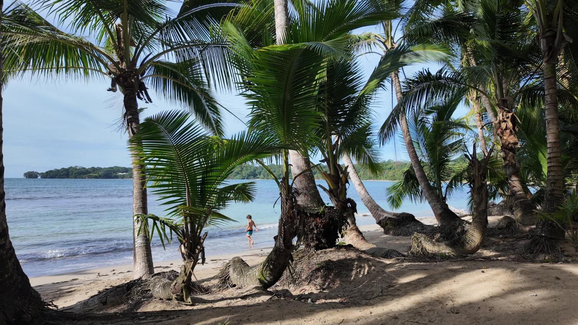 Drago Beach House - Private Beach Boca del Drago Buitenkant foto