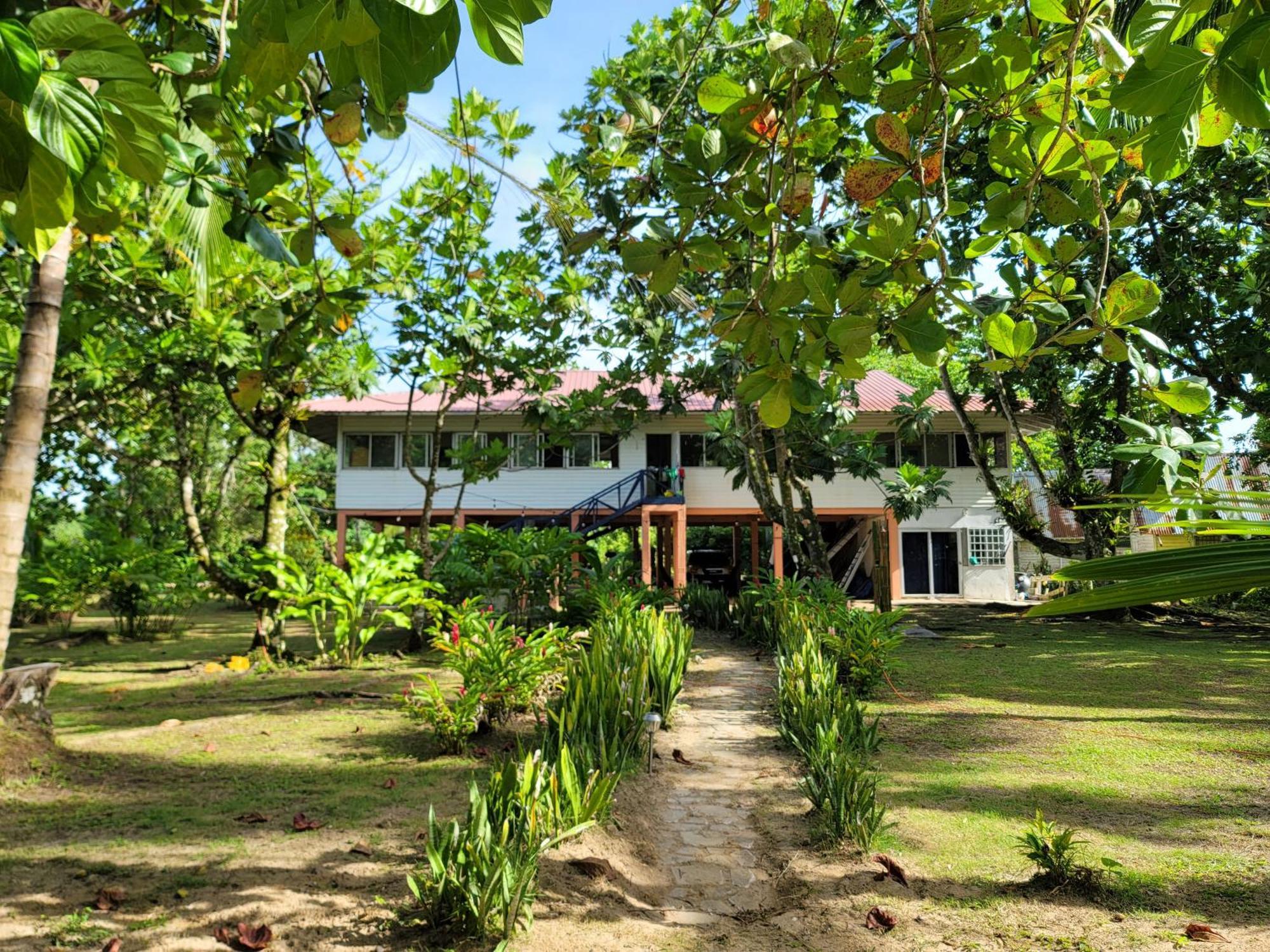 Drago Beach House - Private Beach Boca del Drago Buitenkant foto