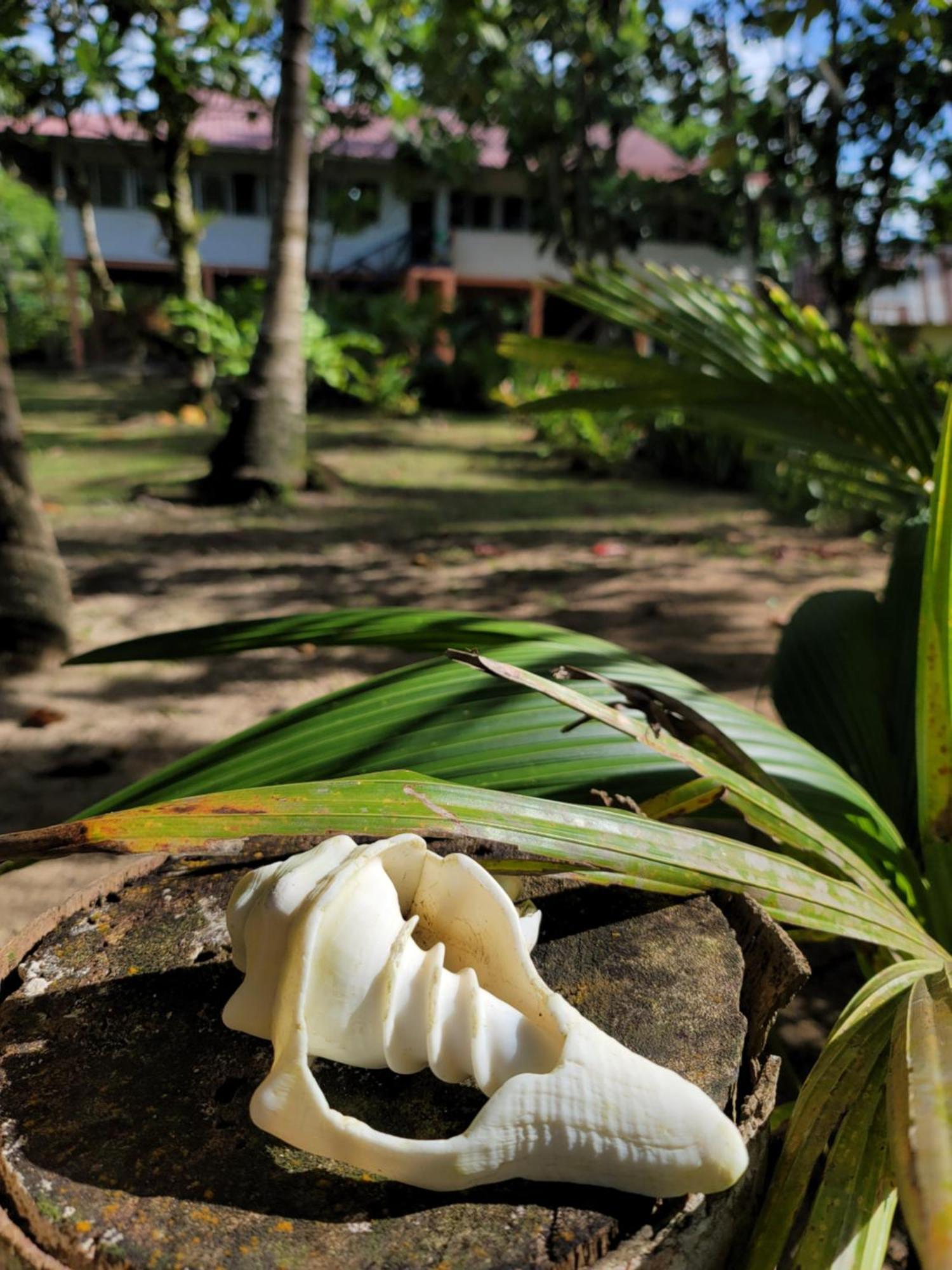 Drago Beach House - Private Beach Boca del Drago Buitenkant foto