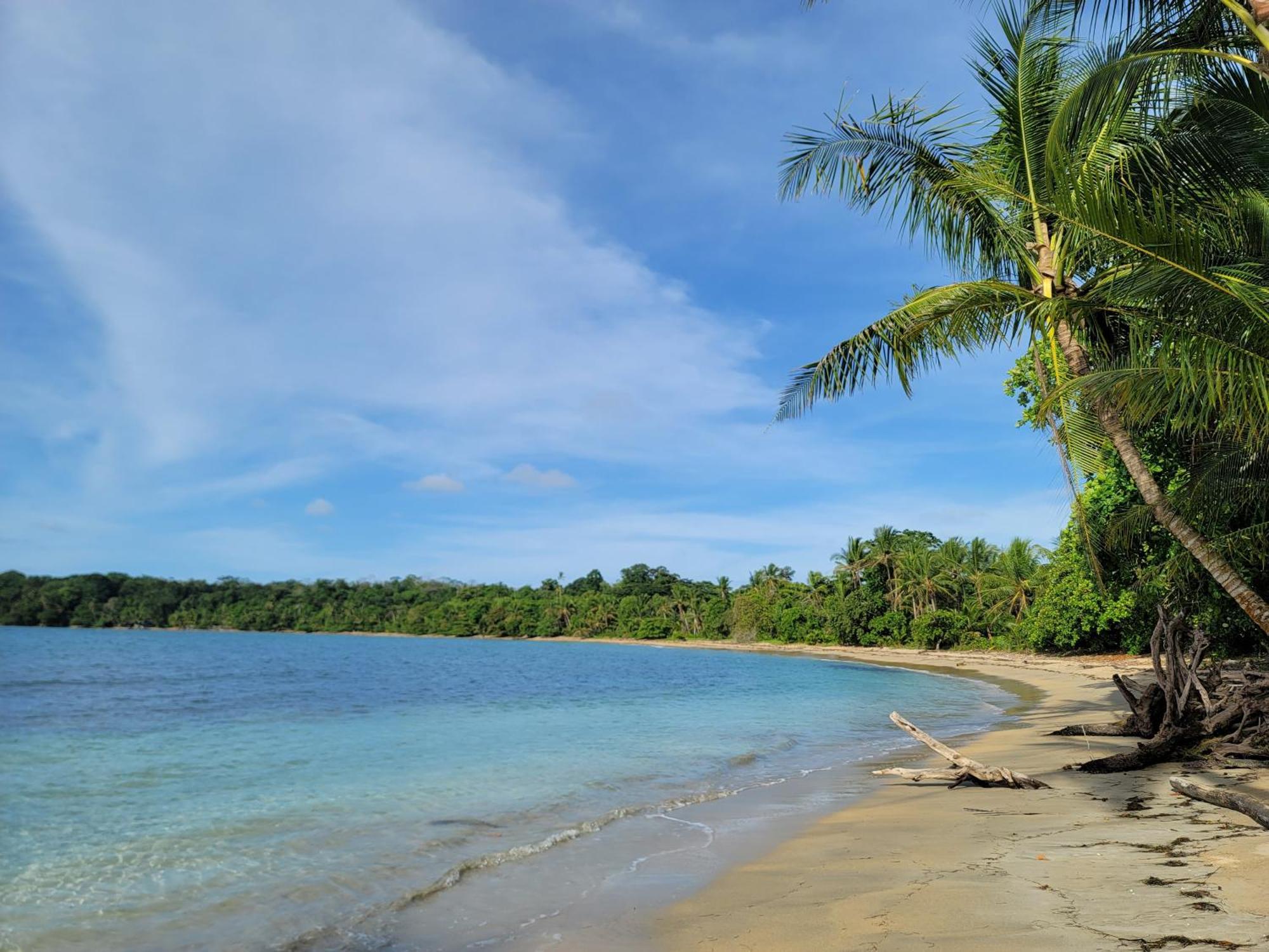 Drago Beach House - Private Beach Boca del Drago Buitenkant foto